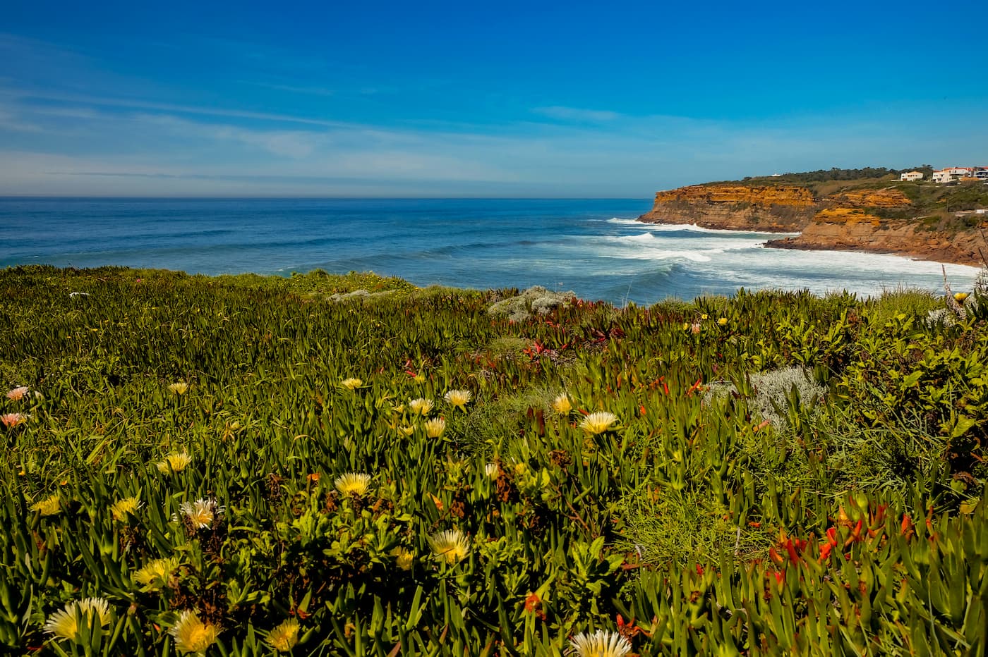 View over Sao Lourenco Bay with flowers in front